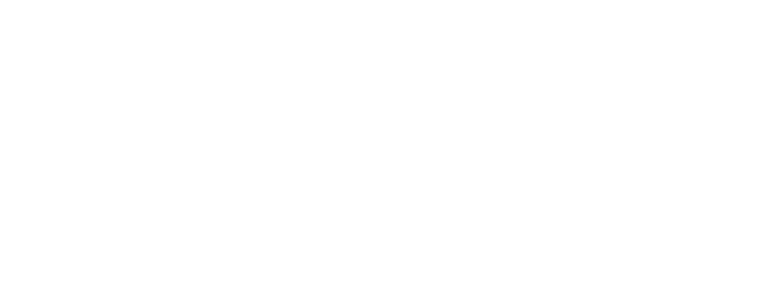 Logo ECB_white